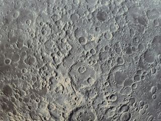 Moon Surface, Canadian Museum of Nature.
