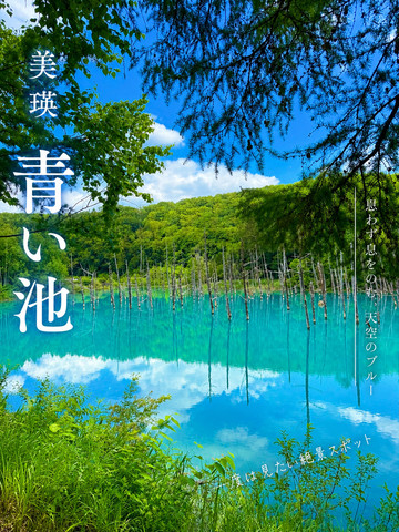 🇯🇵 北海道・美瑛「青い池」 北海道・美瑛町を代表する | Trip.com 富良野