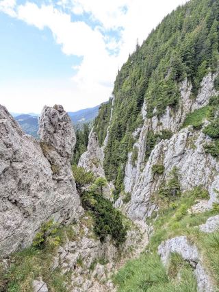 Exploring the Vertical Labyrinth of Prăpăstiile Zărneștilor