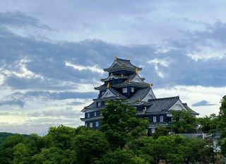 Okayama Korakuen | Exploring One of Japan's Three Great Gardens.