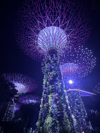 A magical night at Garden By the Bay ❤️✨🇸🇬
