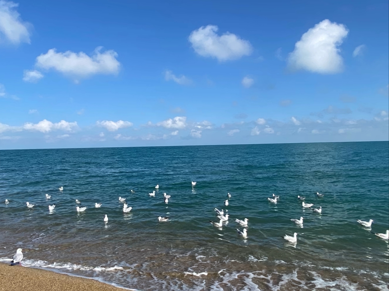 Back to Qinghai Lake: Some Places Are Worth Returning To