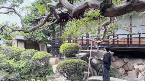 \ Not Just Himeji Castle: A Relaxing Stroll Through the West Side / — traveler post in Hyogo Prefecture