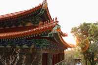 🇭🇰 Discovering Hong Kong's Giant Buddha
