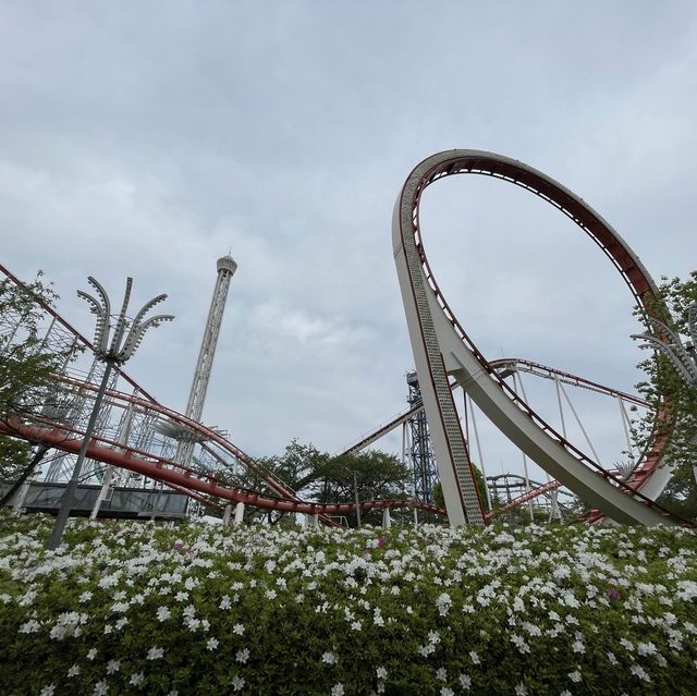 스릴넘치는 롤러코스터만 13개 있는 일본 테마파크🎢