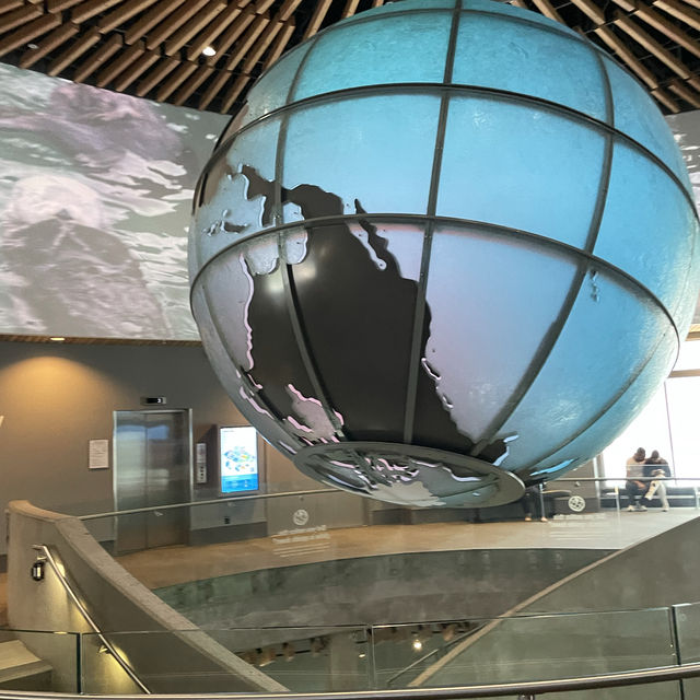 值得一去的溫哥華水族館