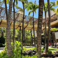 Exploring Waikiki 🌺 