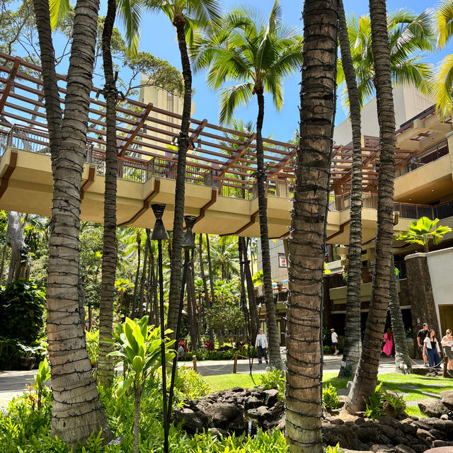 Exploring Waikiki 🌺 