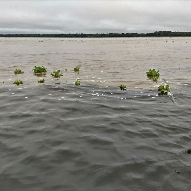 雄大なアマゾンと先住民族