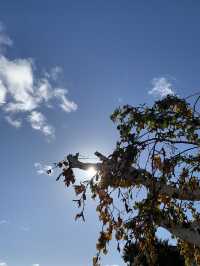Walk with the rhythm of autumn……