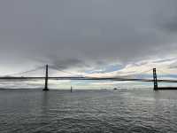 Enjoy one day Ferry trip in San Francisco