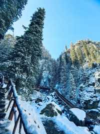 南山雪落時，我離開新疆