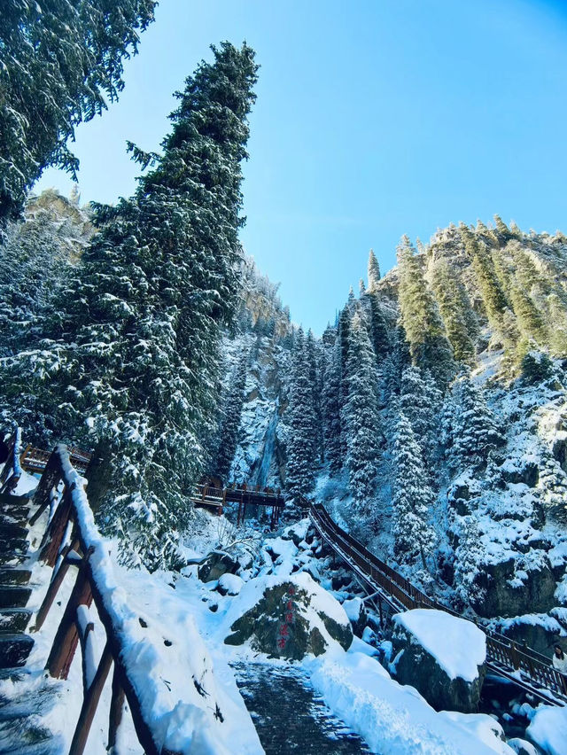 南山雪落時，我離開新疆