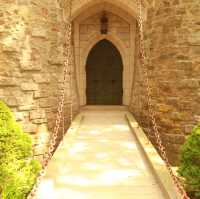 Sunny Dreamscape☀️