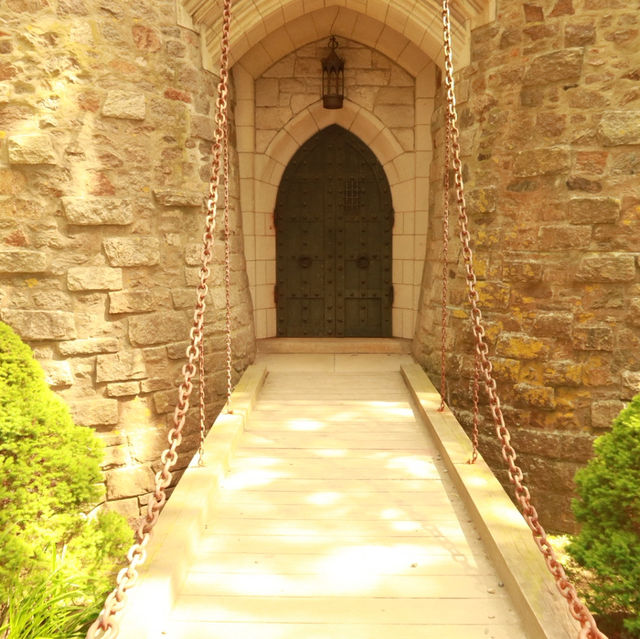 Sunny Dreamscape☀️