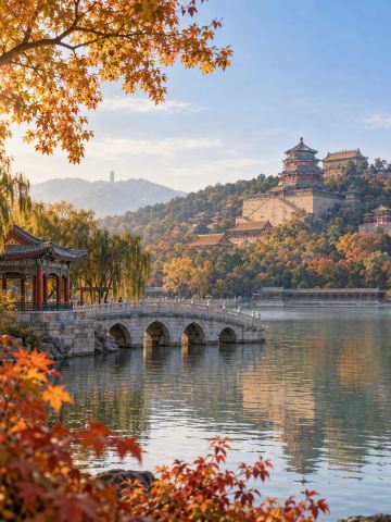 2026年 地壇公園の銀杏並木秋の風景おすすめ| Trip Moments