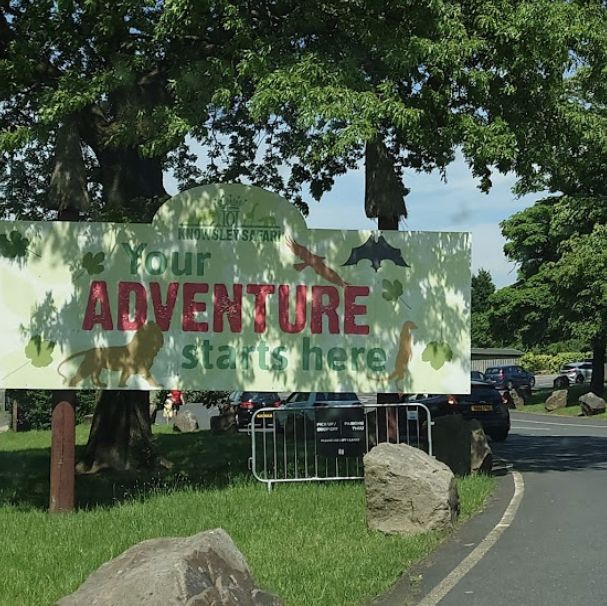 Knowsley safari park day out 🦁 