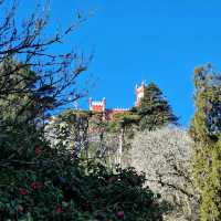 🏰✨ Unveiling the Enchanting Pena Palace in Sintra! 🌸🏰


