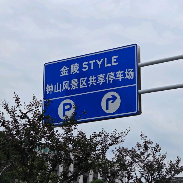 Xuanwu Lake: Lakeside Bliss.Family fun 
