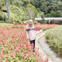 สวนไม้ดอกเมืองหนาวเบตง (สวนหมื่นบุปผา)