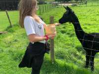 Mabie Farm Park 🇬🇧