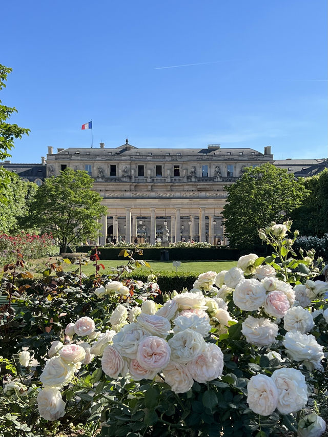 🇫🇷파리의 Palais royal을 가야하는 이유 3️⃣가지