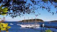 Hidden Gem in Coastal Maine