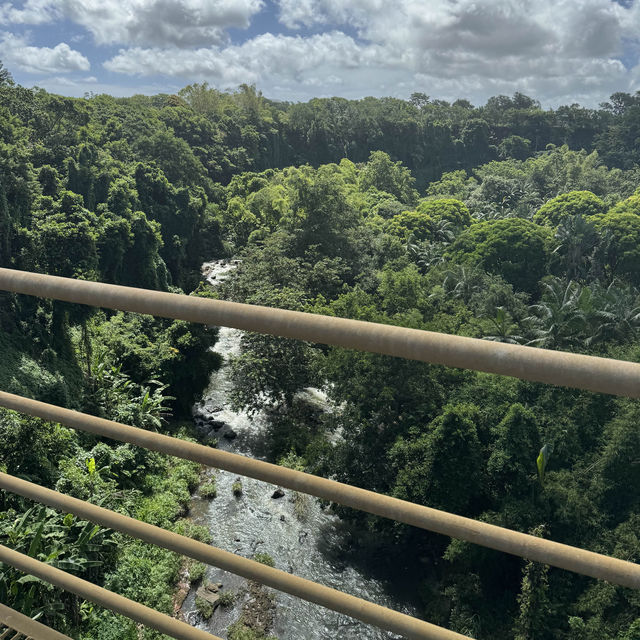 Mauritius Jungle adventures