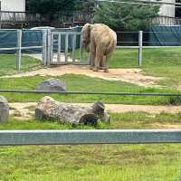 The Maryland Zoo in Baltimore 🇺🇸