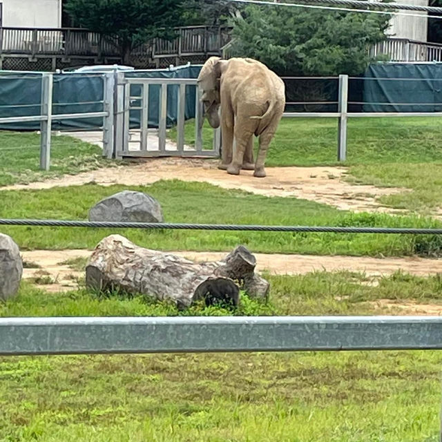 The Maryland Zoo in Baltimore 🇺🇸