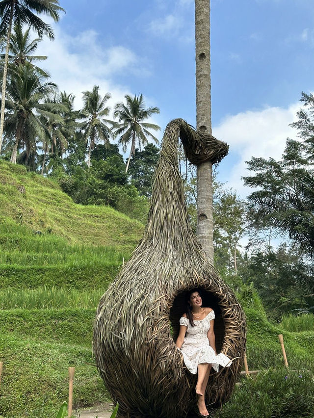Alas Harum Bali