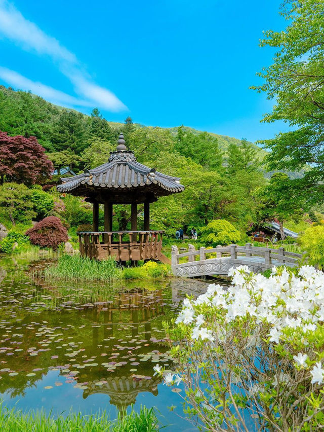 아침고요수목원