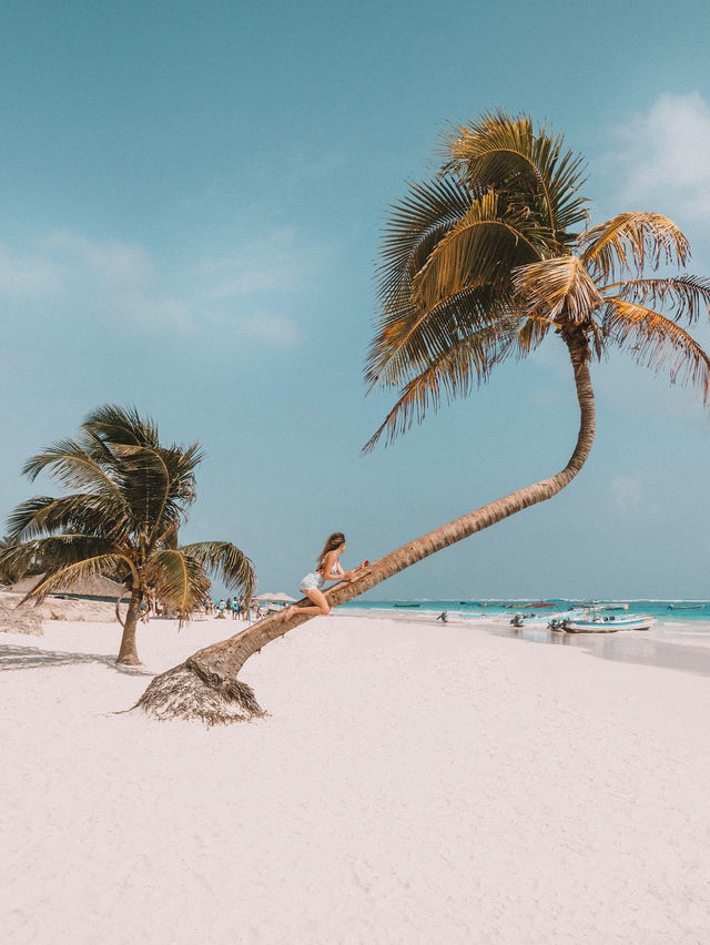 툴룸 🏝️