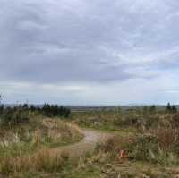 The fellside trail