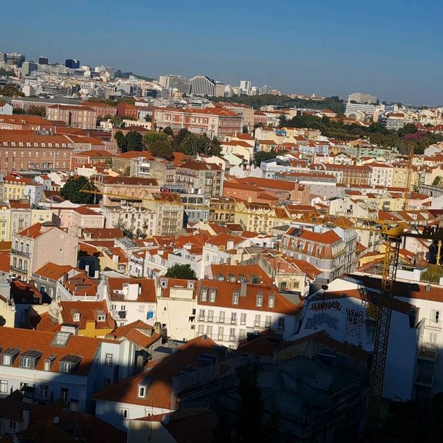 Reflecting on a memorable lisbon trip