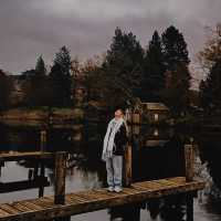 Windermere Wonders: Relaxing at Fell Foot