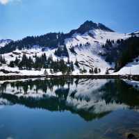 The Stoos Mountain Experience: Hiking to New Heights