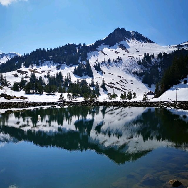 The Stoos Mountain Experience: Hiking to New Heights