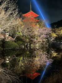 Beautiful Kyoto