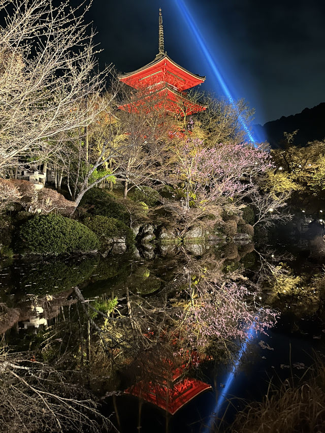 Beautiful Kyoto