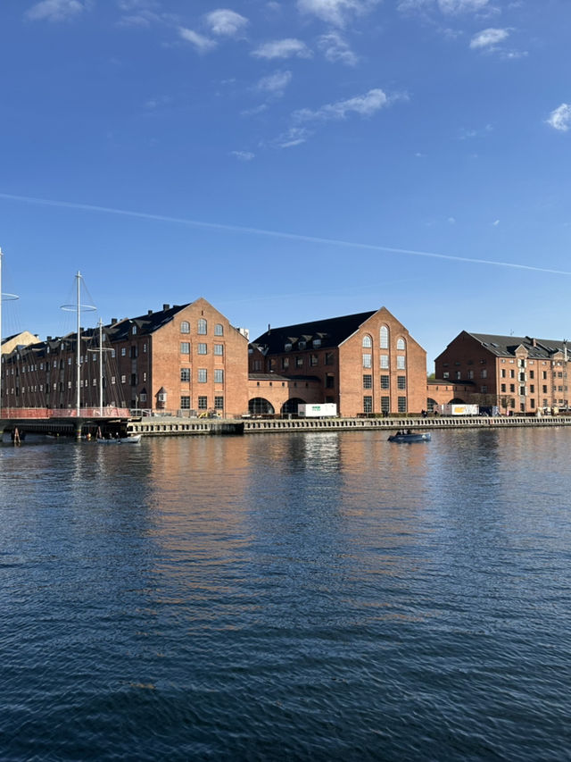 The Black Diamond, Copenhagen