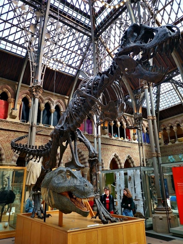 Fossils and Foundations: Discovering Oxford's Natural Wonders
