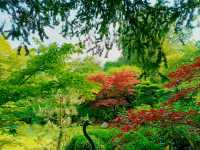 Garden Dreams & Gourmet Scenes at Le Manoir
