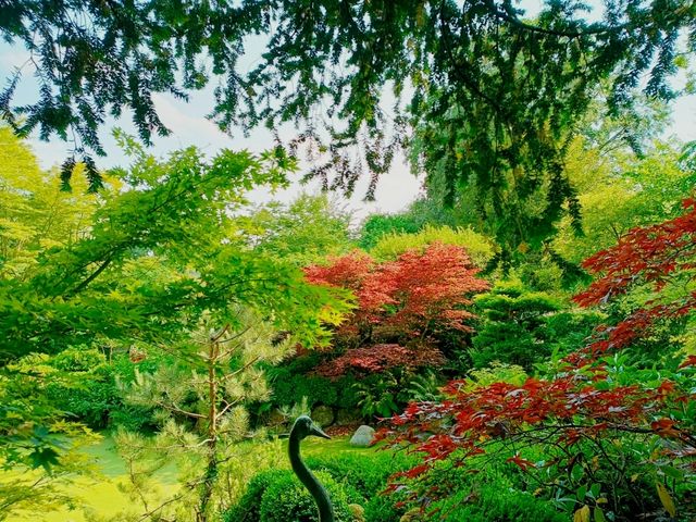 Garden Dreams & Gourmet Scenes at Le Manoir