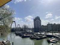Windmills and Masterpieces: A Dutch Day from Kinderdijk to The Hague