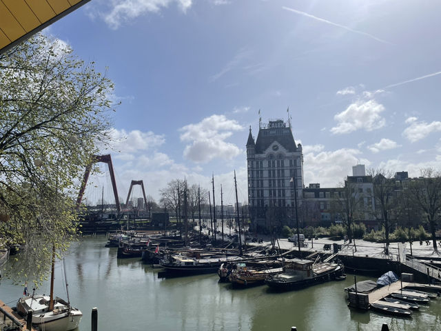 Windmills and Masterpieces: A Dutch Day from Kinderdijk to The Hague