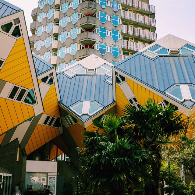 💳 Rotterdam Welcome Card: Explore the City, Save Big!