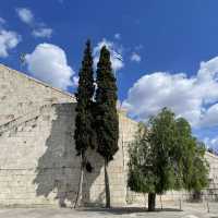 Athens Olympic Stadium 