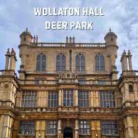 Nottingham🇬🇧Review of Wollaton Hall and Deer Park🦌🏞️