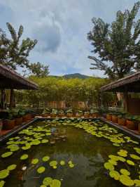 Exploring Ba Na Hills: A Whimsical Mountain Escape Near Da Nang